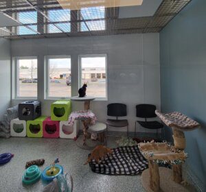 Community Room at Angel's Wish