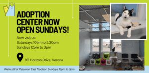 Adoption Center now open on Sundays 12pm to 3pm